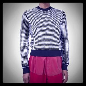 NWOT Rachel Comey blue & white striped sweater